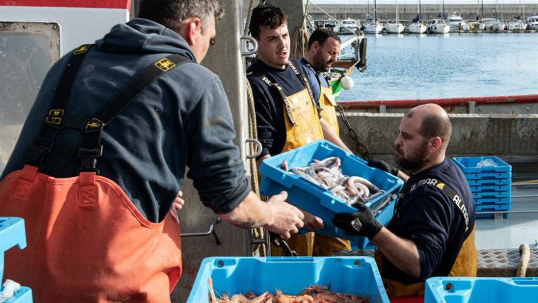 ep archivo   varios pescadores recogen la pesca del dia a 10 de marzo de 2026 en palamos girona