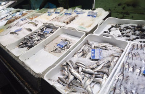 ep bacaladillas expuestas en una pescaderia de un mercado ep bacaladillas expuestas en una pescaderia de un mercado