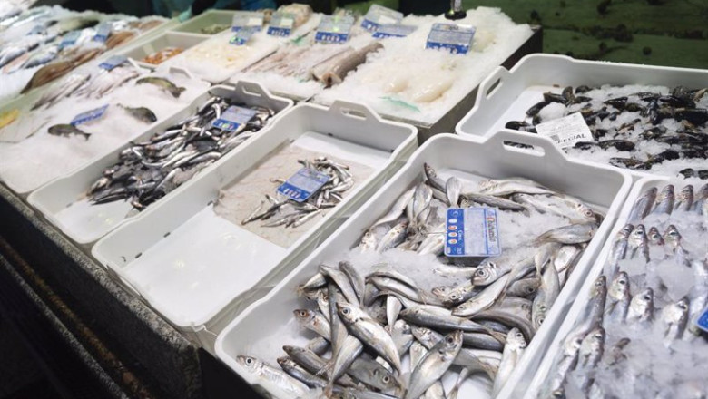 ep bacaladillas expuestas en una pescaderia de un mercado ep bacaladillas expuestas en una pescaderia de un mercado