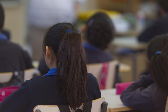 Colegio, escuela, aula, primaria, clase, niño, niña, niños, estudiando, estudiar | EUROPA PRESS ep colegio escuela aula primaria clase nino nina ninos estudiando estudiar