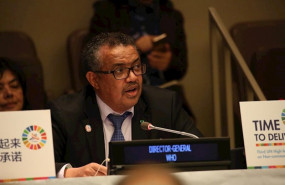 ep el director general de la oms en la asamblea de la onu