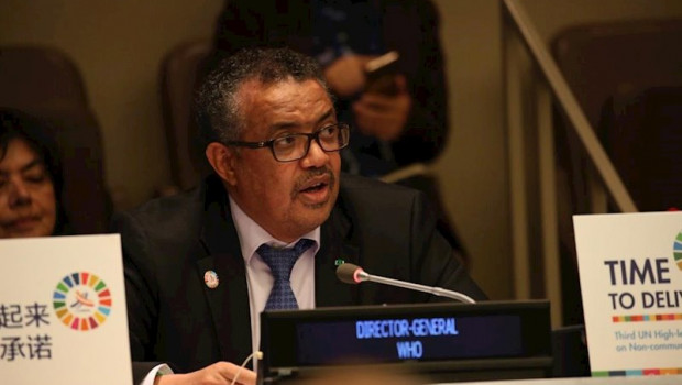 ep el director general de la oms en la asamblea de la onu