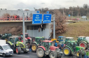 ep ganaderos catalanes cuelgan un jabali y un ciervo en la c 17 por el exceso de fauna cinegetica