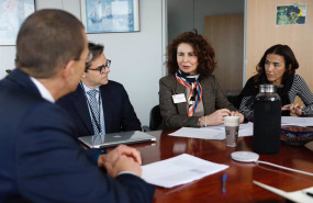 ep la consejera de hacienda y relaciones con la union europea del gobierno de canarias matilde asian
