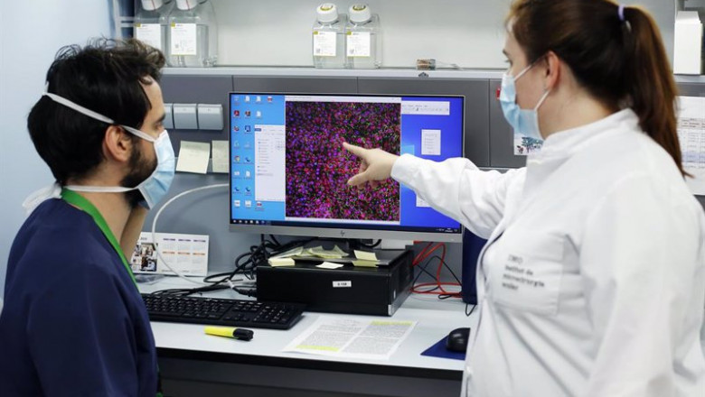 Laboratorio de genética | IMO GRUPO MIRANZA ep laboratorio de genetica