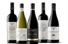 ep los vinos de familia torres con medalla de oro en los decanter world wine awards 2026