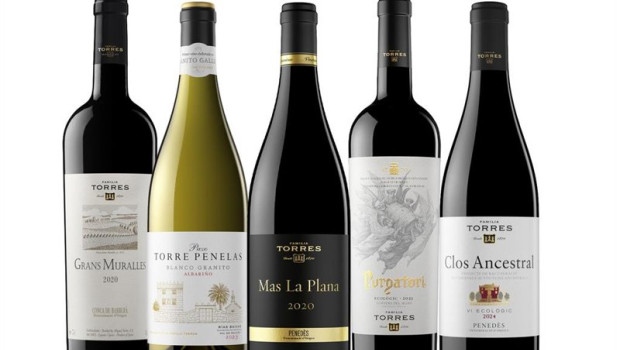 ep los vinos de familia torres con medalla de oro en los decanter world wine awards 2026