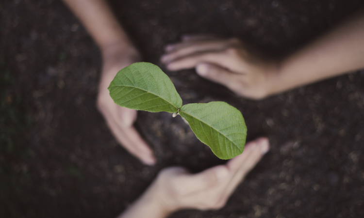 grupo tarraco sostenibilidad ambiental