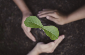 grupo tarraco sostenibilidad ambiental grupo tarraco sostenibilidad ambiental