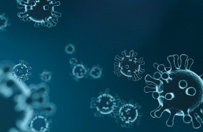 1585755169 5e84a600474f4image name