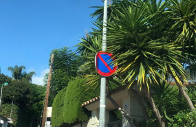 1601639514 foto internet