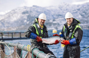 1656331473 pescanoruega