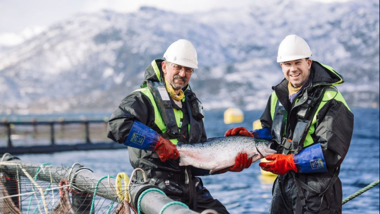 1656331473 pescanoruega