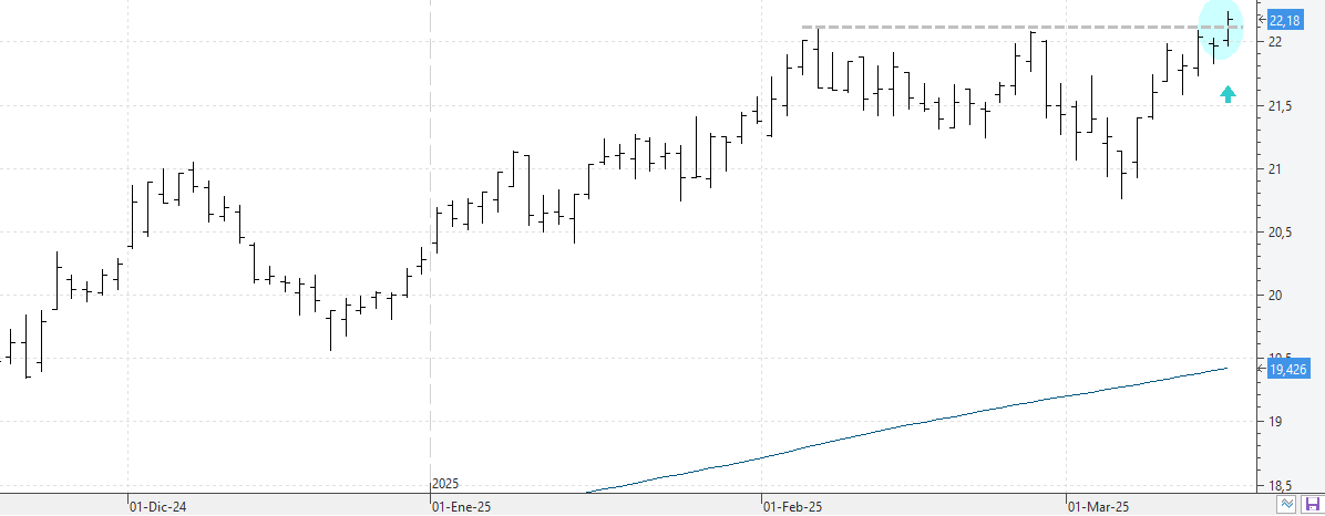 c170325endesa