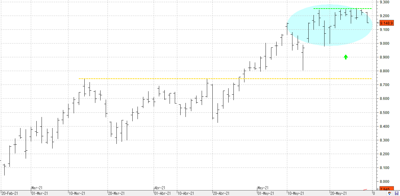 c310521ibex