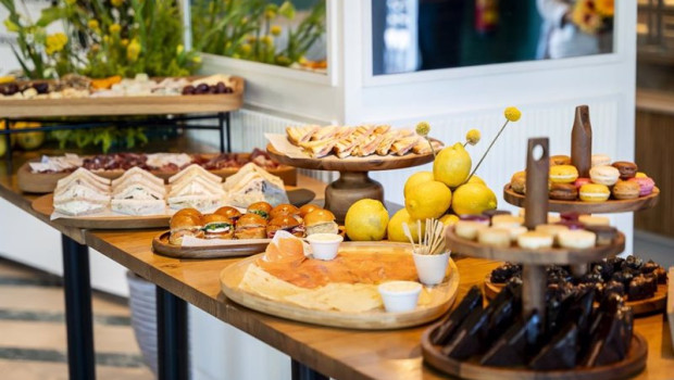 ep catering de rodilla ep catering de rodilla