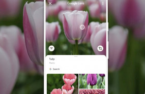 ep google lens