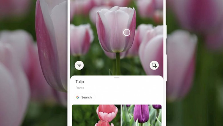ep google lens ep google lens