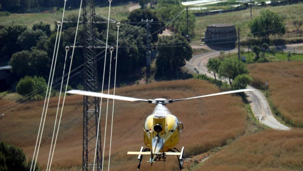 ep labores de proteccion forestal y mantenimiento de la red electrica
