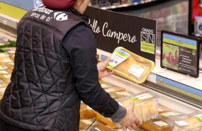 ep pollo camperocarrefour