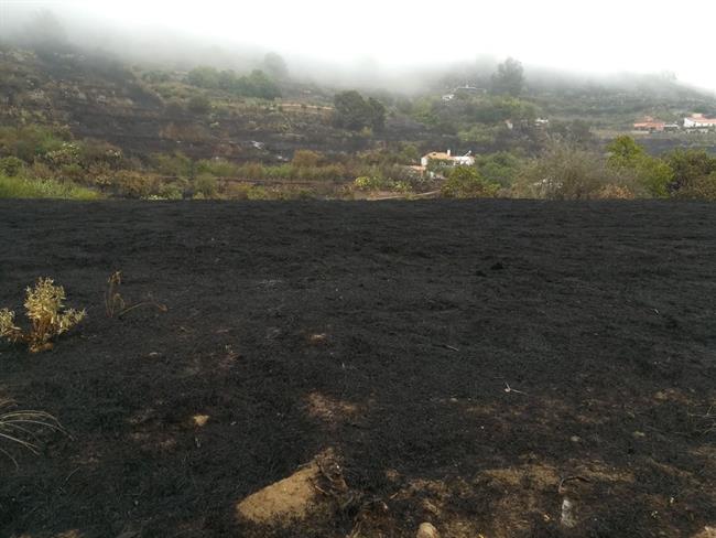 ep terreno quemado duranteincendiogran canaria