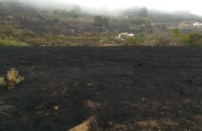 ep terreno quemado duranteincendiogran canaria