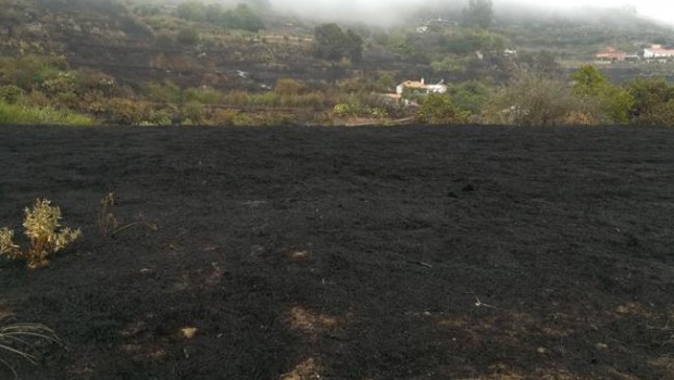 ep terreno quemado duranteincendiogran canaria