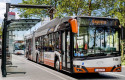 solaris caf bus
