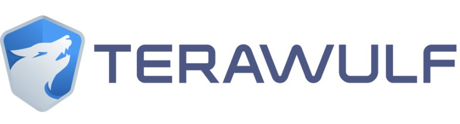 terawulfcb900