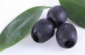 ep aceituna negramesa ep aceituna negramesa