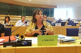 ep ana miranda eurodiputadabng