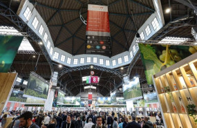 ep archivo   anterior edicion de barcelona wine week bww