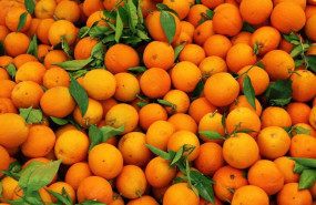 ep archivo   foto recurso de naranjas