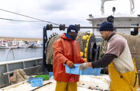 ep archivo   varias personas trabajan en el puerto de arenys a 11 de diciembre de 2024 en arenys de