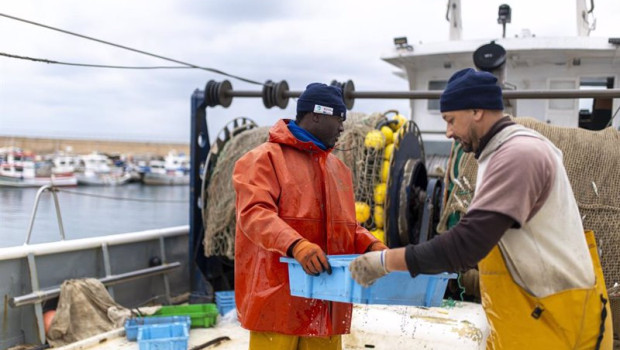 ep archivo   varias personas trabajan en el puerto de arenys a 11 de diciembre de 2024 en arenys de