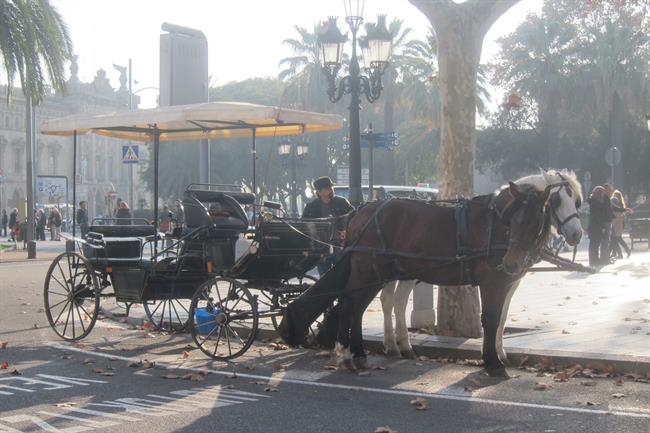 Carruaje de caballos en Barcelona | EUROPA PRESS ep carruajecaballosbarcelona