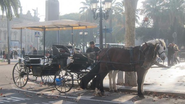 ep carruajecaballosbarcelona