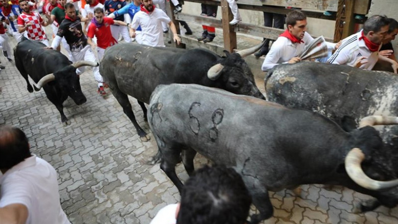 Cientos de personas corren en el último encierro de los Sanfermines 2019 en Pamplona (Navarra). | David Domench - Europa Press ep cientospersonas correnel ultimo encierrolos sanfermines 2019pamplona navarra