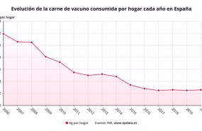 ep evolucion de la carne de vacuno consumida por hogar cada ano en espana