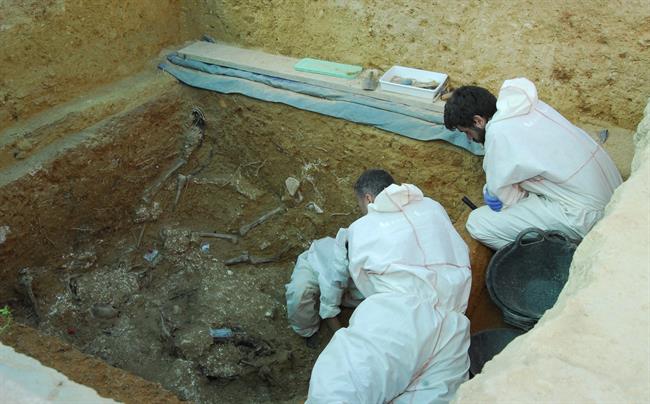 Exhumación de represaliados franquistas en la fosa 113 de Paterna (Valencia) | DIPUTACIÓN DE VALENCIA ep exhumacionrepresaliados franquistasla fosa 113paterna valencia