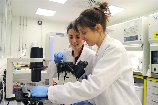 Hipertermia Contra El Cáncer | UNIVERSIDAD DE NAVARRA ep hipertermiacancer
