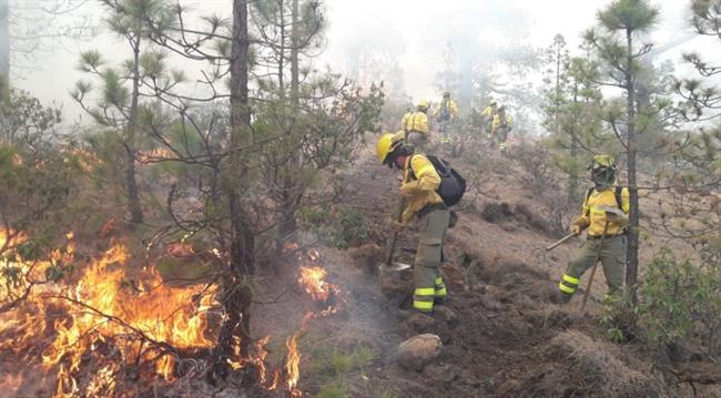 Incendio en Granadilla | CEDIDA ep incendiogranadilla