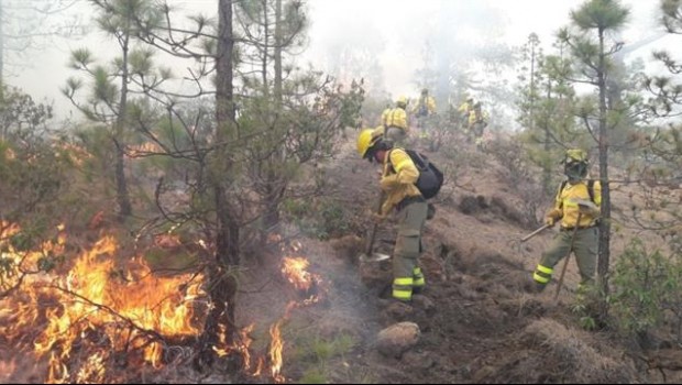 ep incendiogranadilla