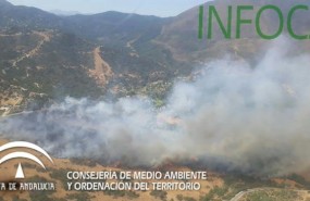 ep incendiomunicipio malaguenocasares infoca fuego verano