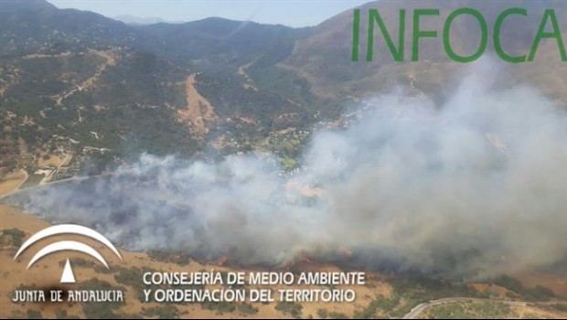 ep incendiomunicipio malaguenocasares infoca fuego verano