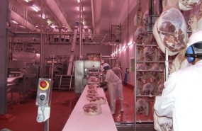 ep industria carnica-carnes
