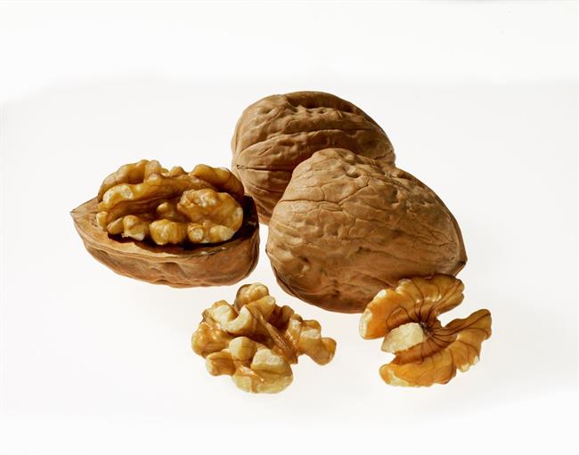 ep nuez nueces