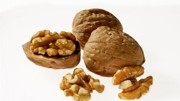 ep nuez nueces