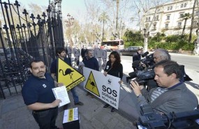 ep presentacionlas firmas recogidaswwfalmacengasdonana