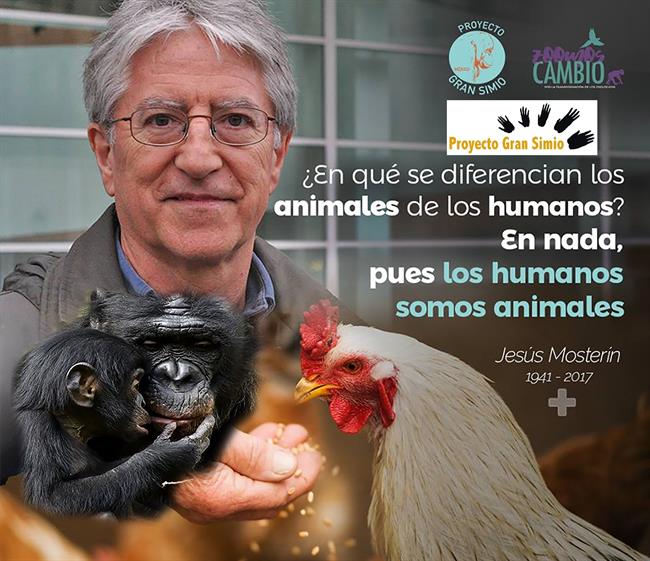El presidente honorífico de Proyecto Gran Simio, Jesús Mosterín | PROYECTO GRAN SIMIO ep presidente honorificoproyecto gran simio jesus mosterin